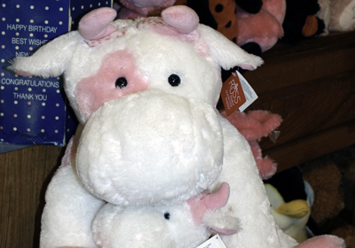 gift image